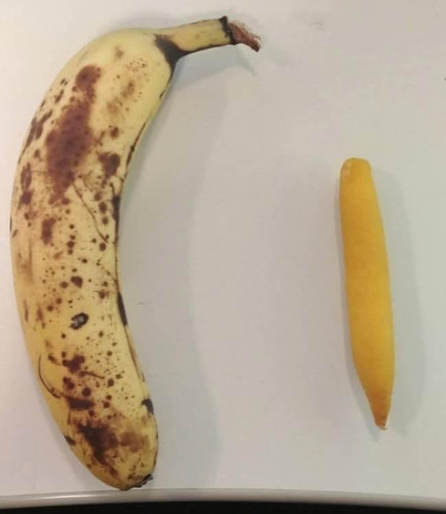 A Mutant Banana Or An Entirely Different Fruit All Together?