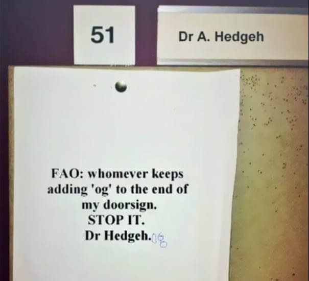 5. Dr. Hedgeh(og) Reporting For Duty