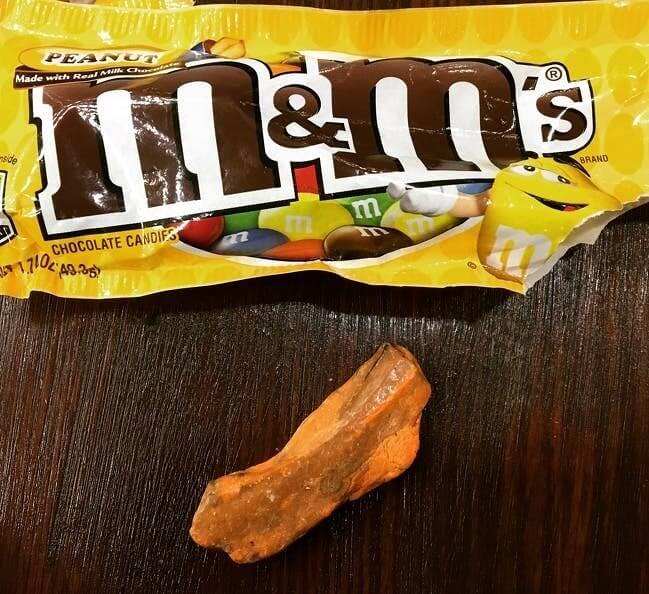 A Sneaky Piece Of Bone Is Definitely Not An M&M